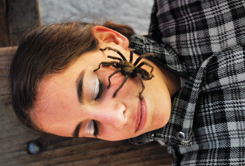 How many spiders does a person eat in a lifetime?